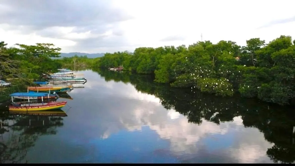 Whitehall Villa In Negril 0*,  Jamaica